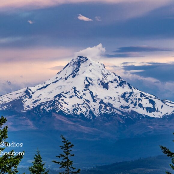 The Mt. Hood Collective Vintage Market - Picture 2 of 16